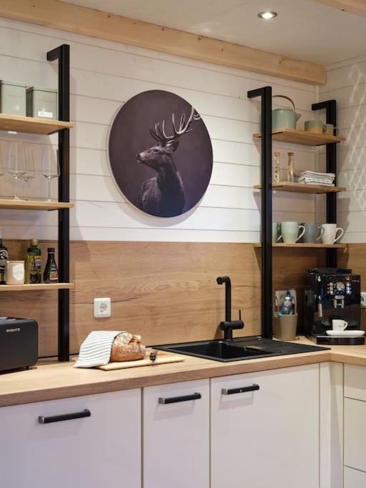 Chalet In Koeln - Tinyhouse Exteriör bild